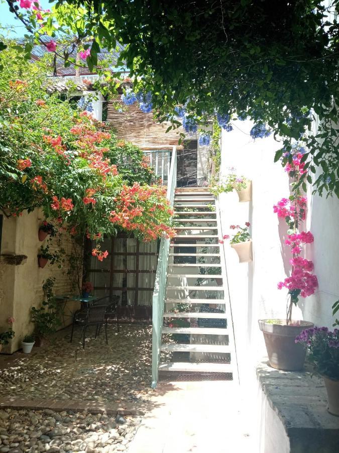 Patio Del Limonero Apartment Kordoba Bagian luar foto