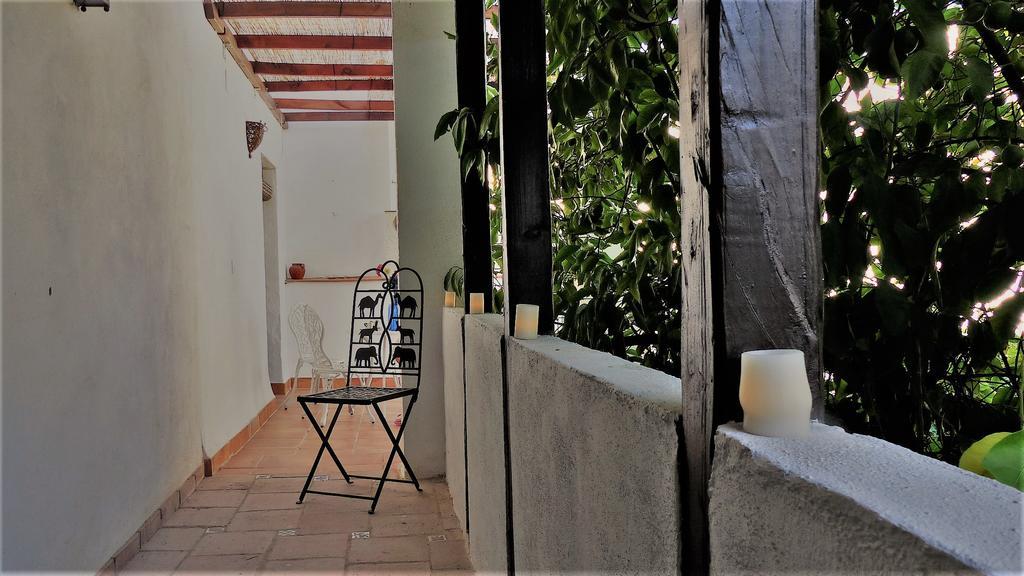 Patio Del Limonero Apartment Kordoba Bagian luar foto