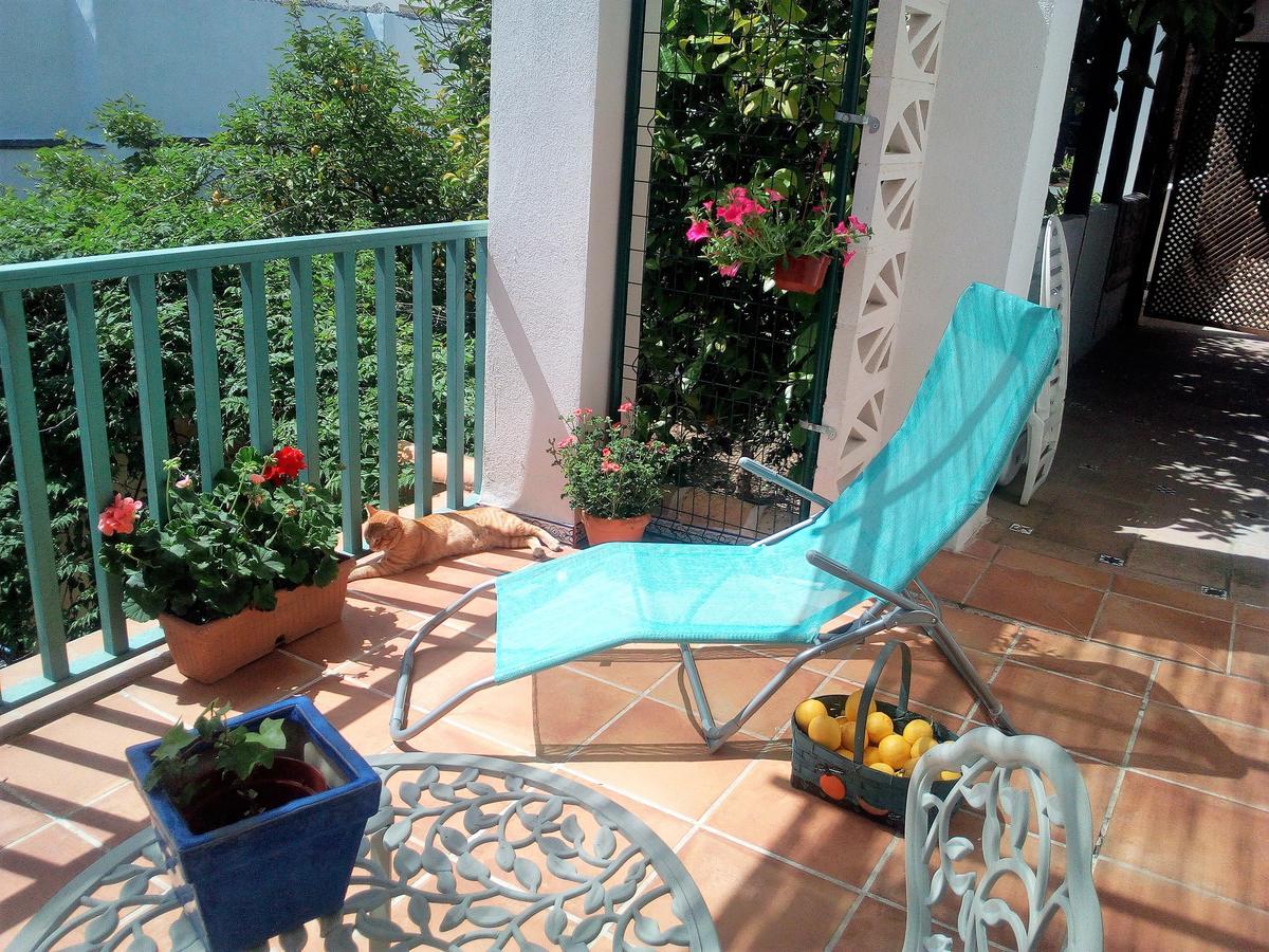 Patio Del Limonero Apartment Kordoba Bagian luar foto